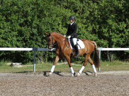 IMG_5032_web